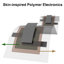 Skin-inspired Polymer Electronics