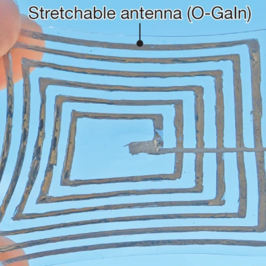 A molecular design approach towards elastic and multifunctional